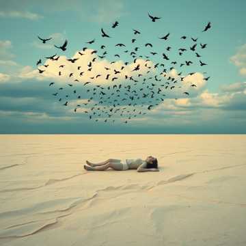 我要躺平-suno原创