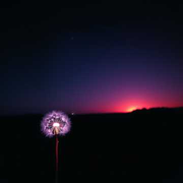 逆风飞-suno原创