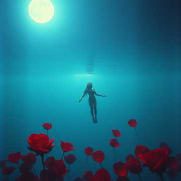 深海玫瑰-100.1-suno原创