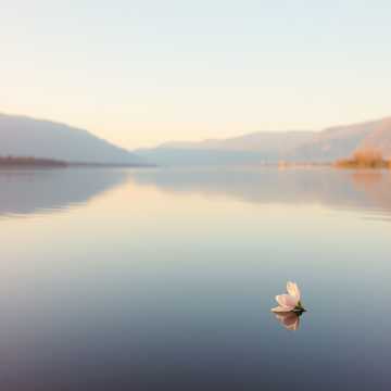 同一条河同一座山-suno原创